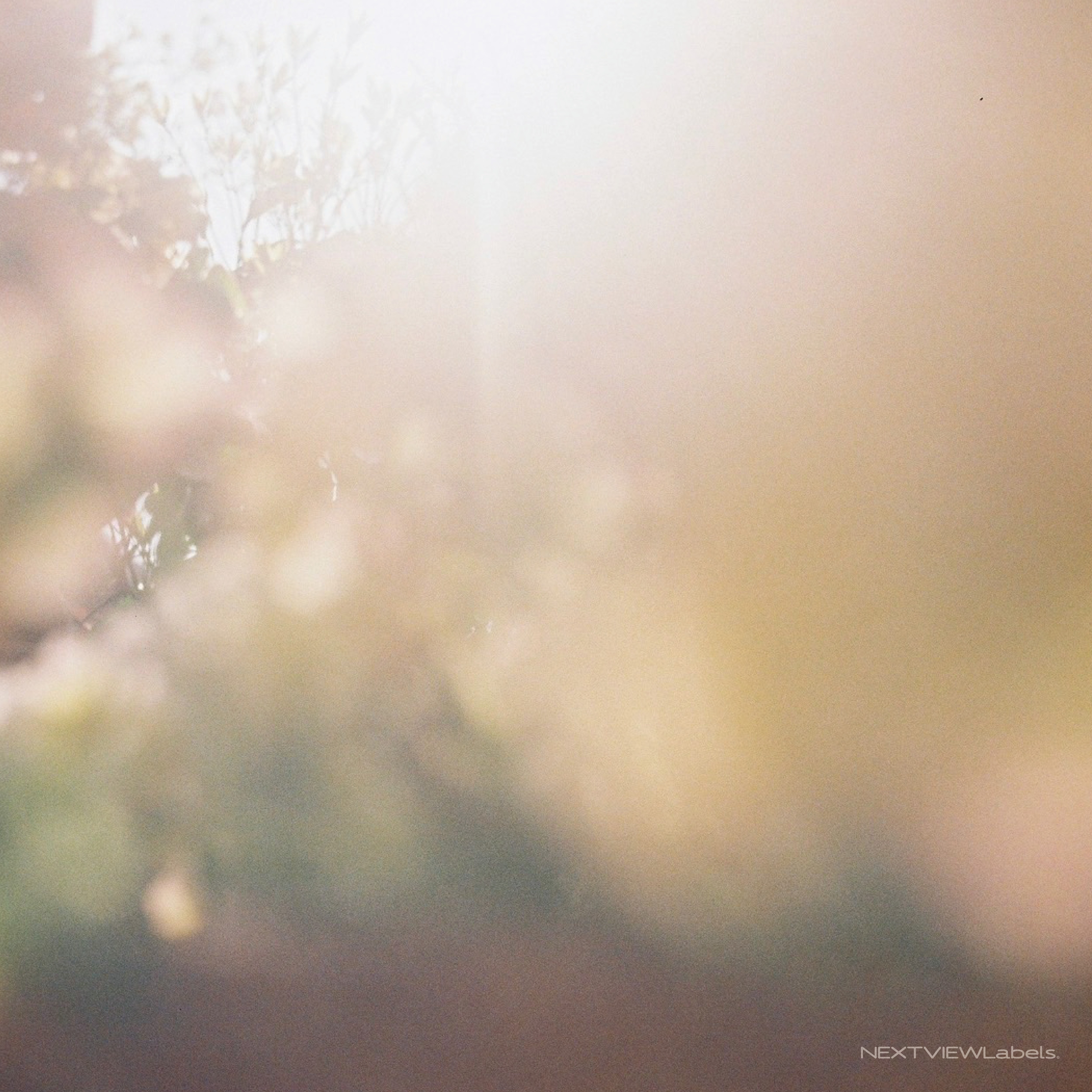 ジャケット写真