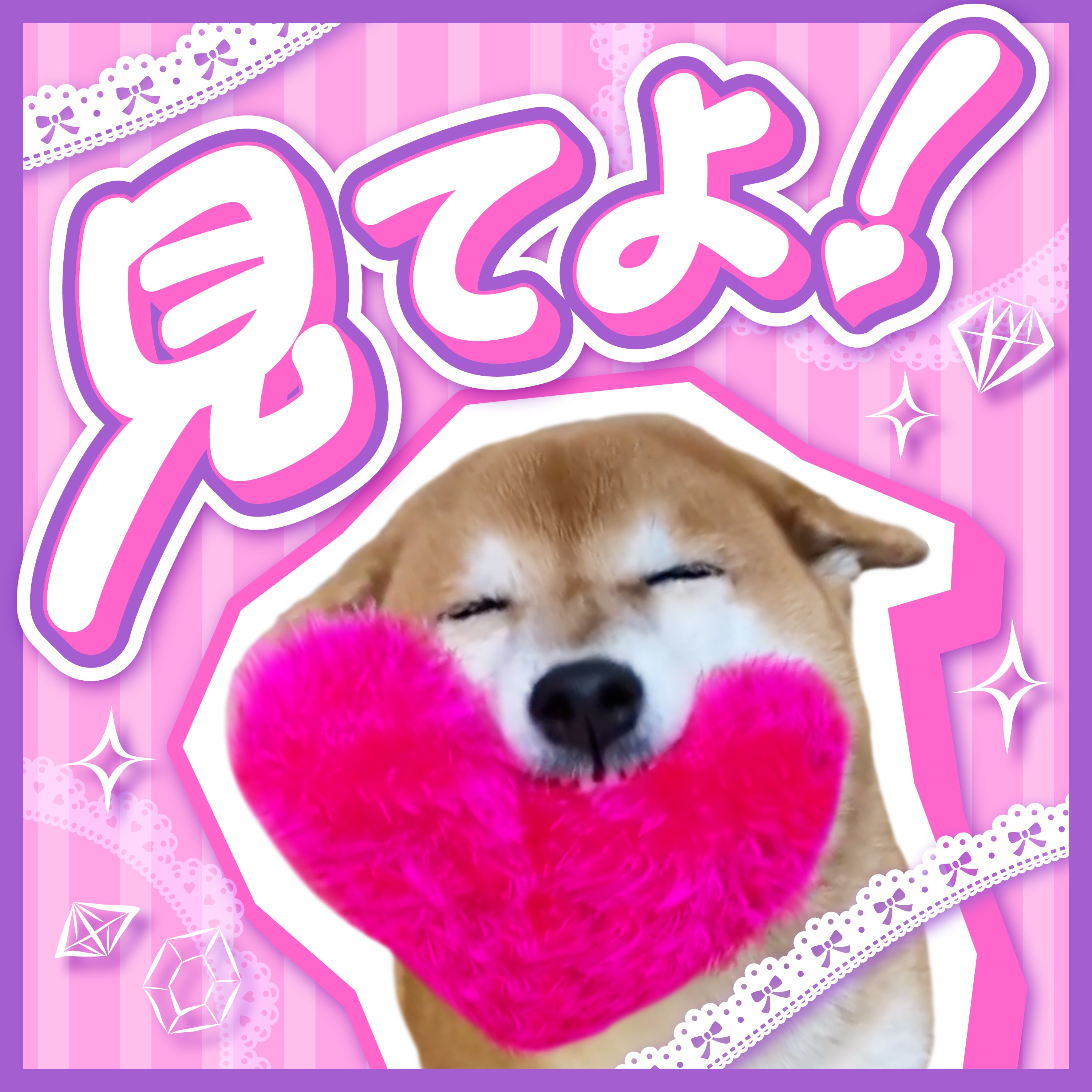 ジャケット写真