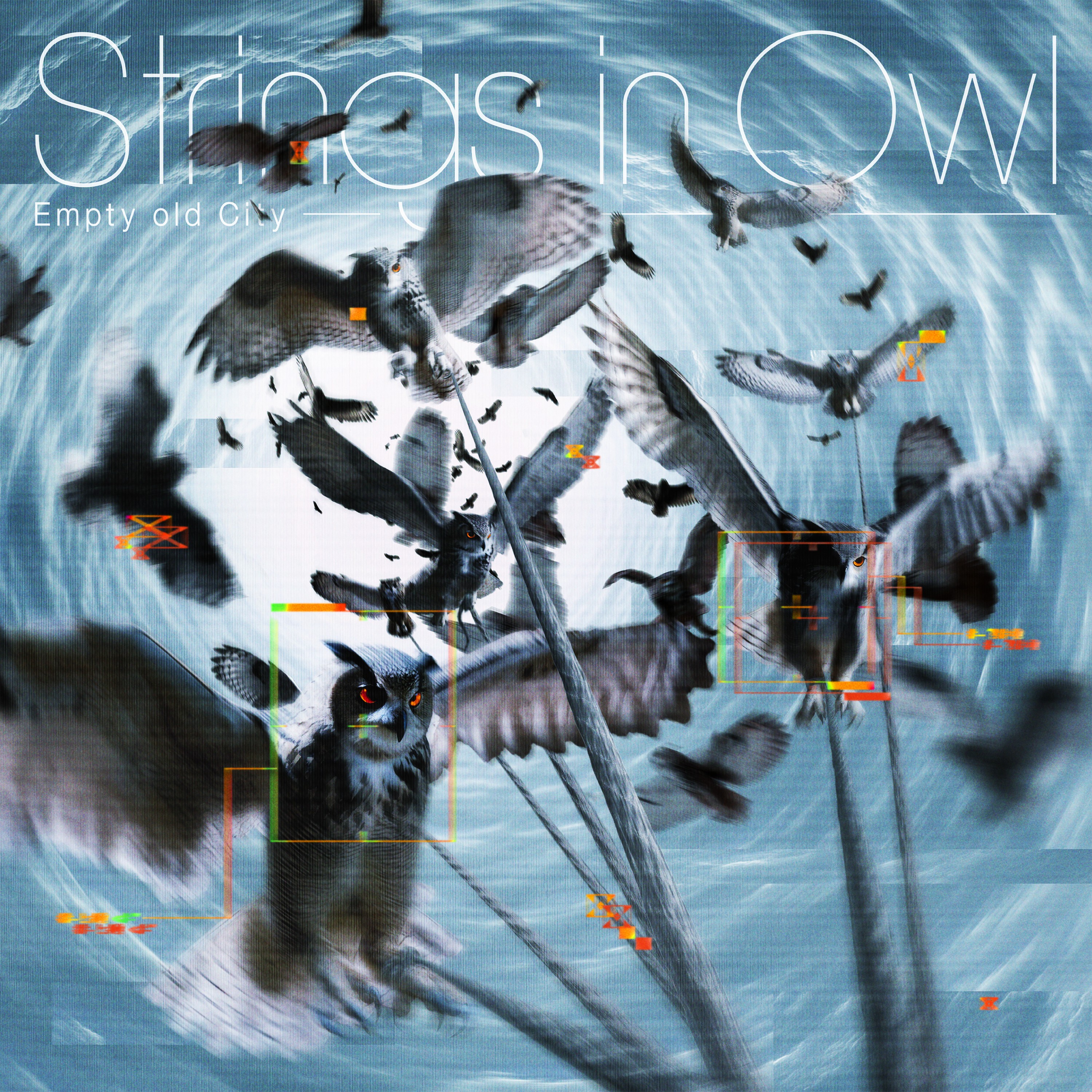 ジャケット写真