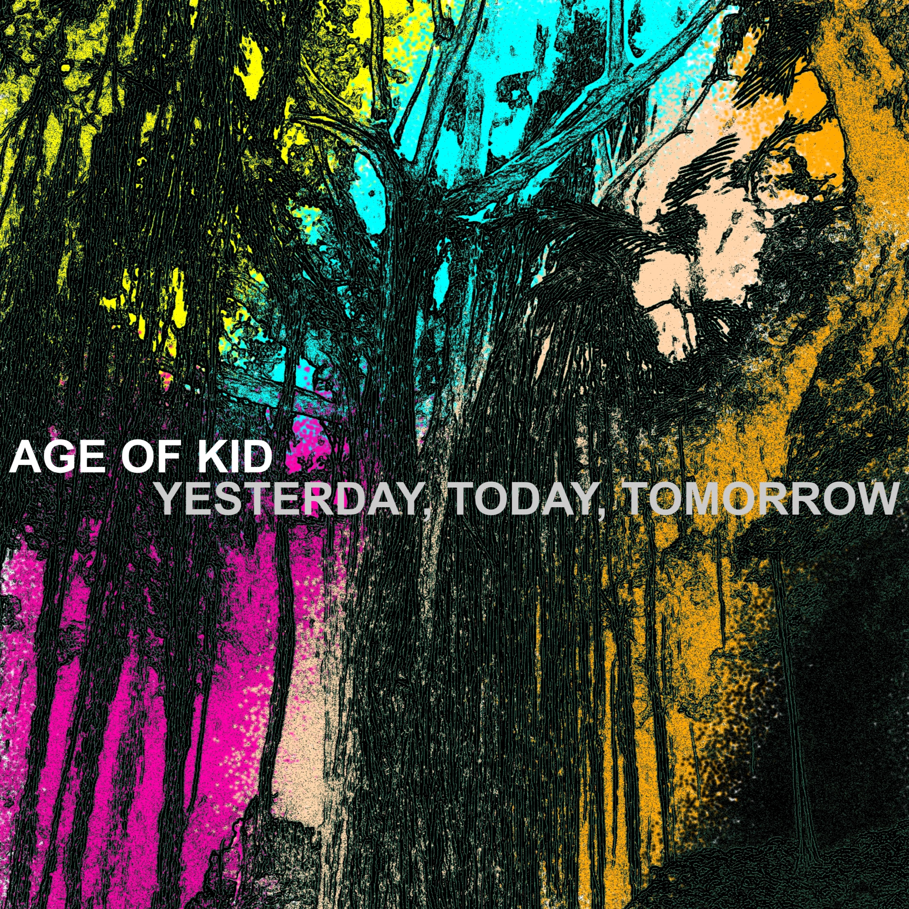 ジャケット写真