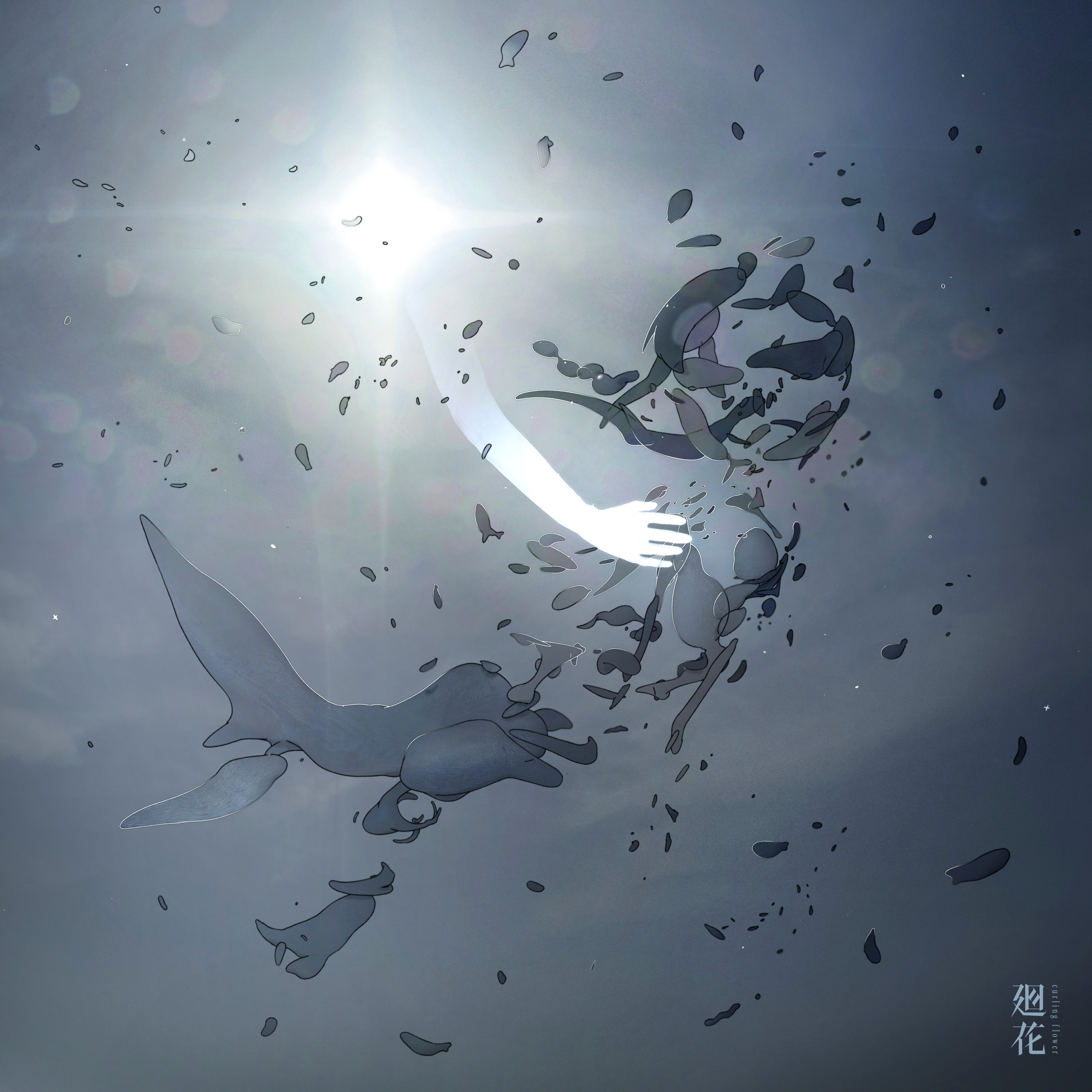 ジャケット写真